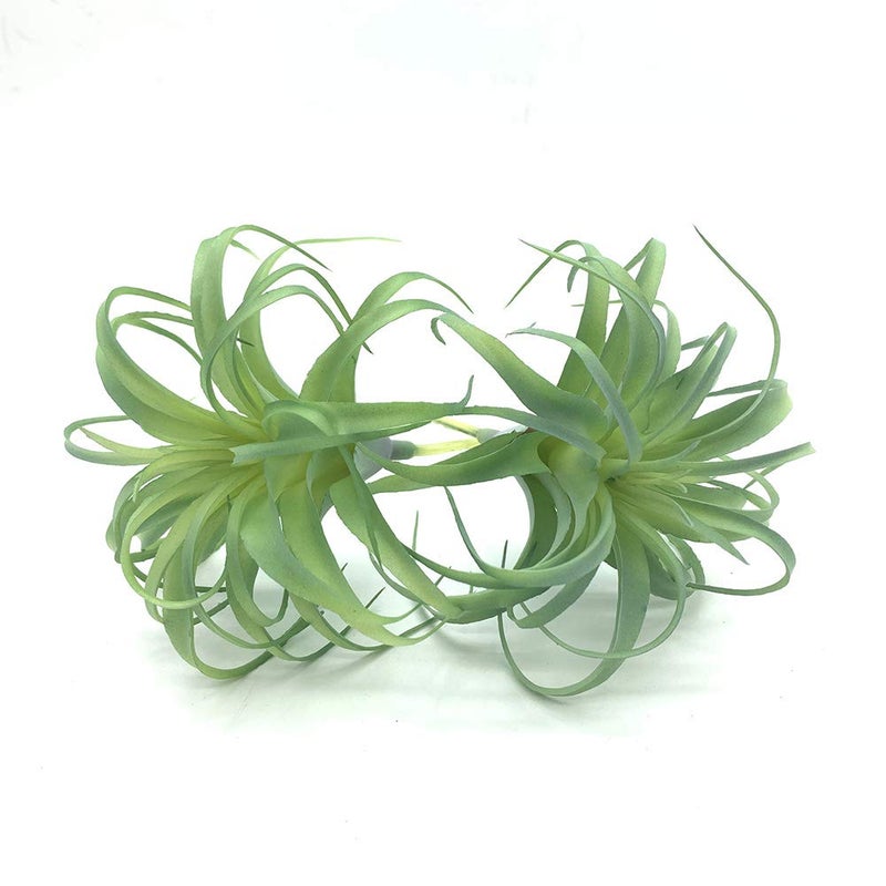 EBUYOM 2 PCS Artificial Succulents Plants Real Touch Lifelike Succulants Plants Faux Greenery Plants Garden DIY Home Office Decoration Ornament (Air Plant) - Image 1